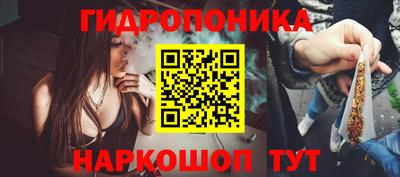 круглые Краснознаменск